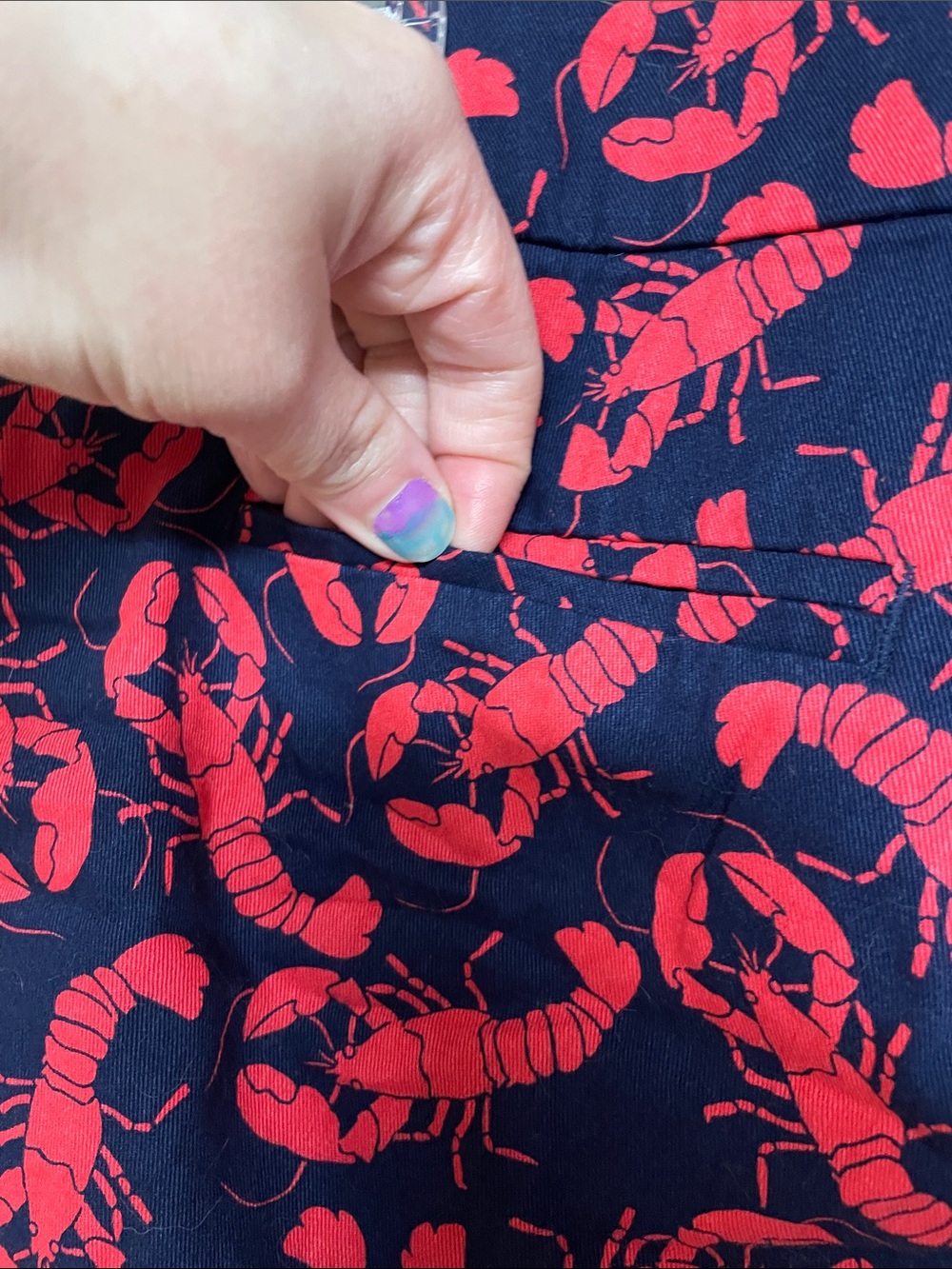 J. Crew size 4 Blue and Red Lobster Print Chino 5” Inseam Shorts with Pockets - Picture 7 of 9